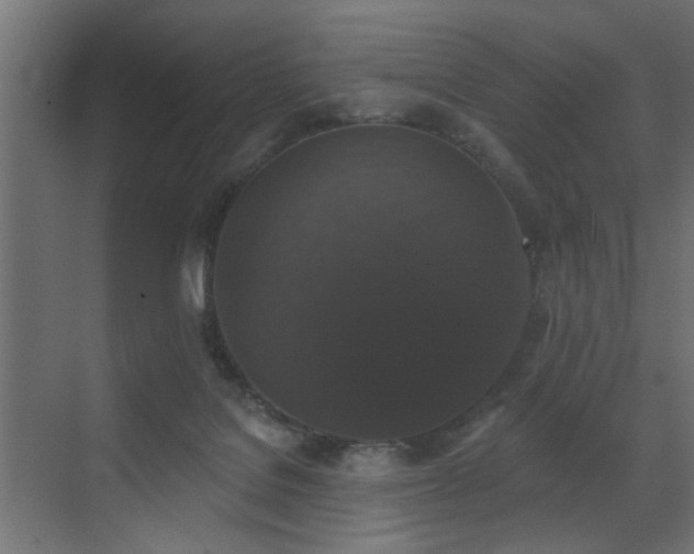X0000072920076200607211112