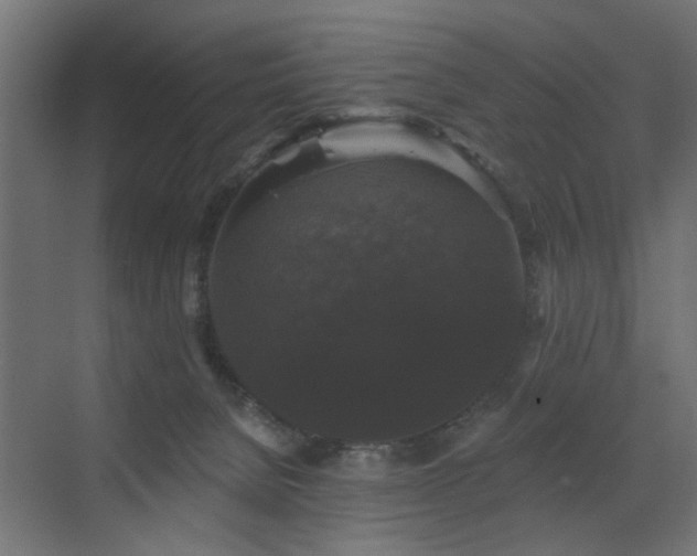 X0000072920080200607211112