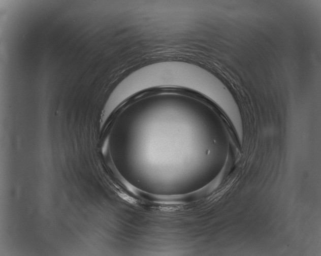 X0000072920096200607211112