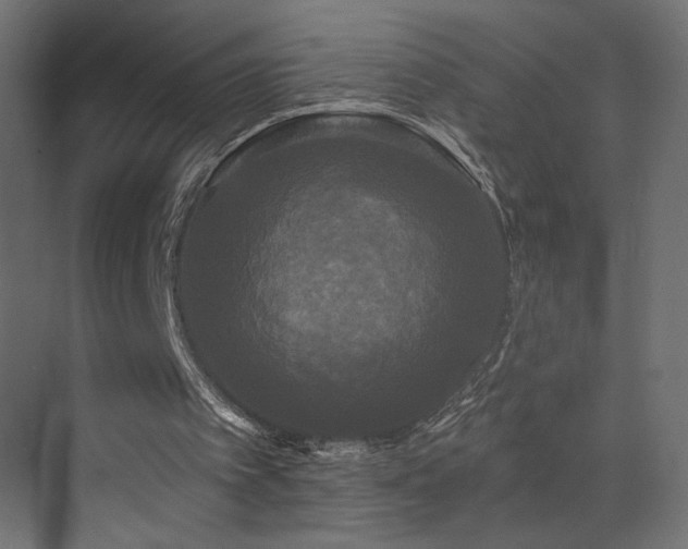 X0000072920097200607211111
