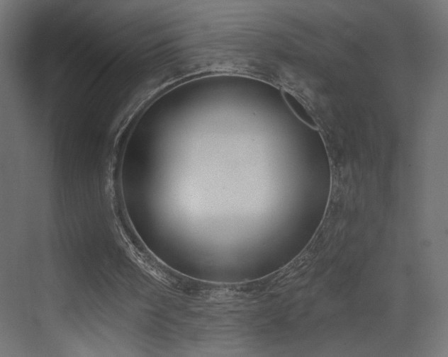 X0000072920098200607211111