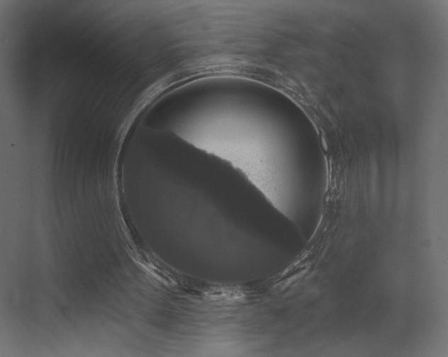 X0000072920099200607211111