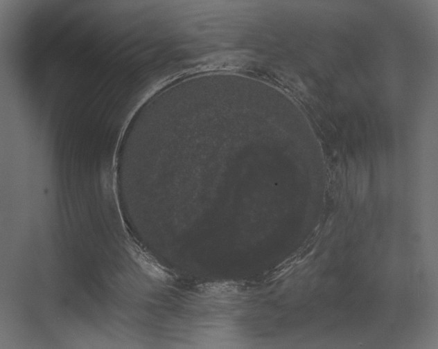 X0000072920100200607211111