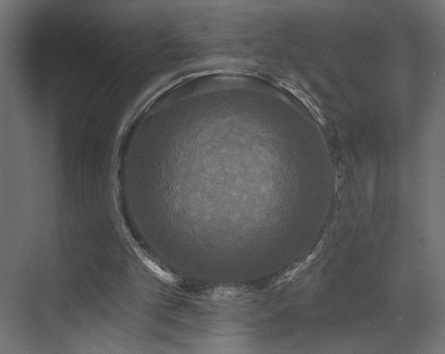 X0000072920101200607211111