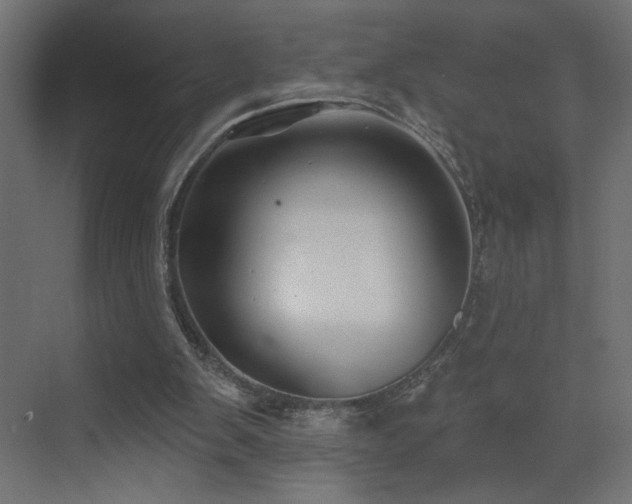 X0000072920103200607211111