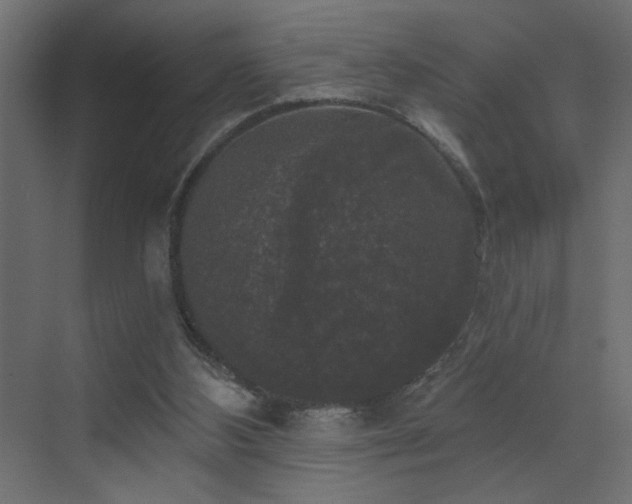 X0000072920108200607211111