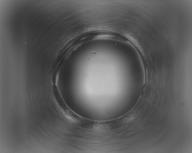 X0000072920109200607211111