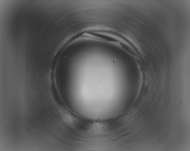 X0000072920111200607211111