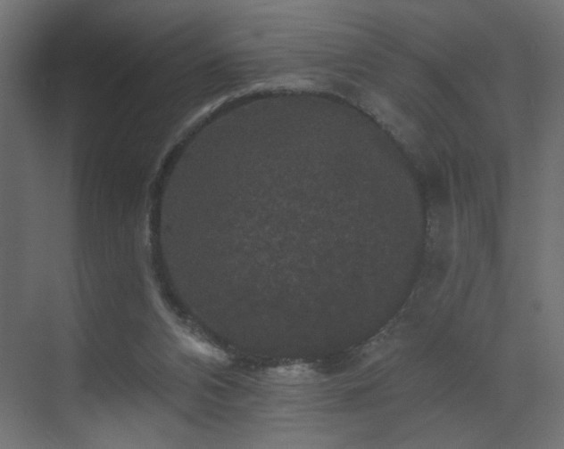 X0000072920112200607211111