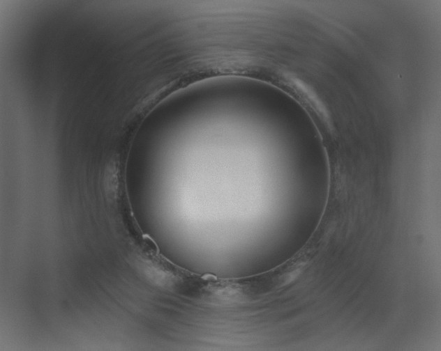 X0000072920113200607211111