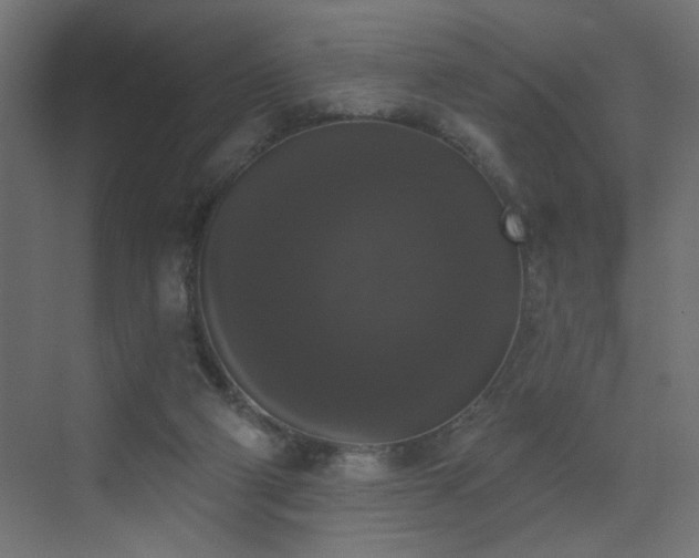 X0000072920114200607211111