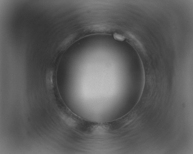 X0000072920115200607211111