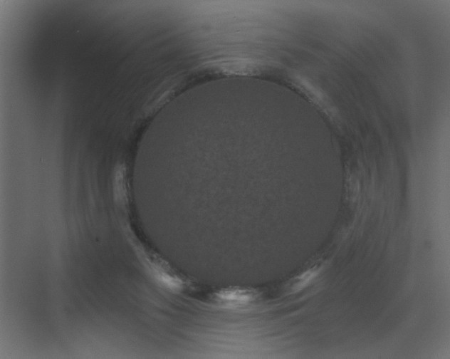 X0000072920117200607211111