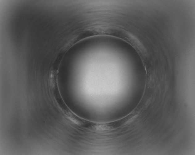 X0000072920121200607211111