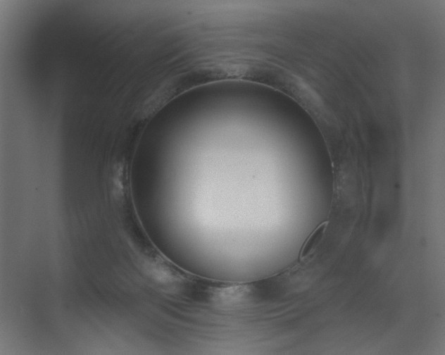 X0000072920122200607211111