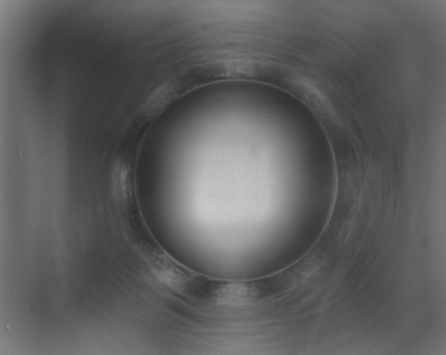 X0000072920123200607211111