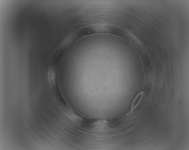 X0000072920124200607211111