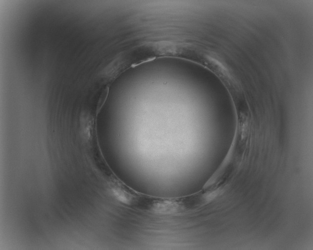 X0000072920125200607211111