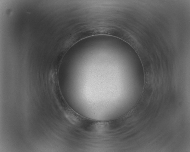 X0000072920126200607211111