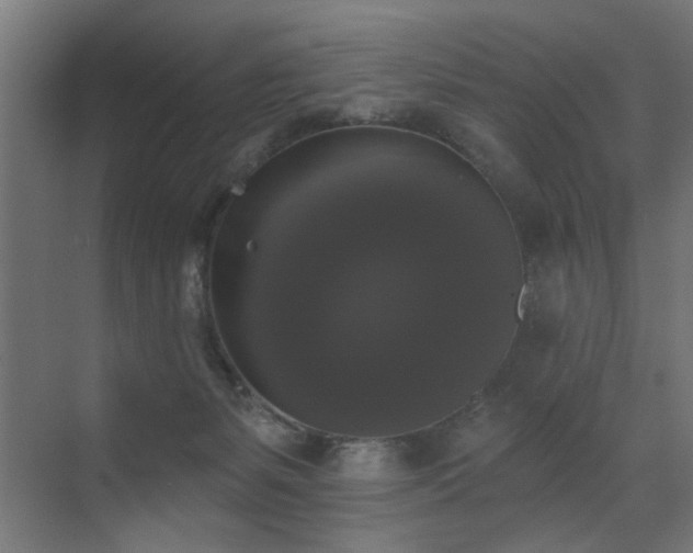 X0000072920127200607211111