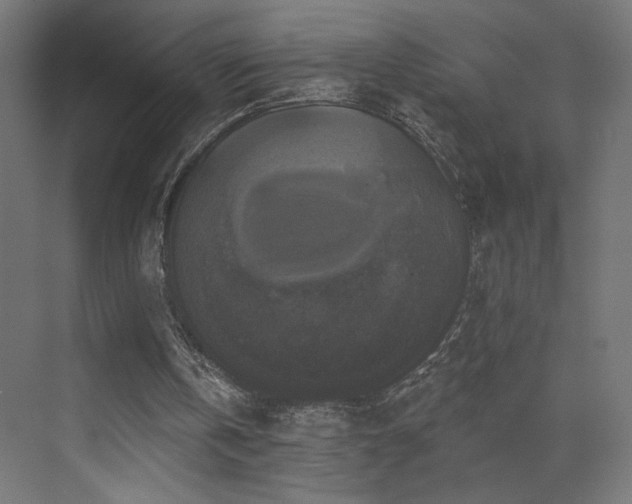 X0000072920146200607211110