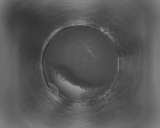 X0000072920147200607211110