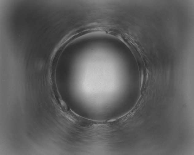 X0000072920150200607211110