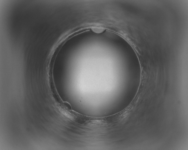 X0000072920151200607211110