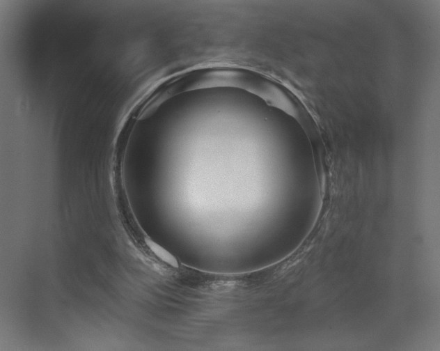 X0000072920152200607211110