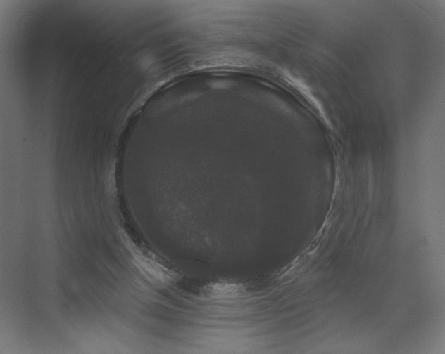 X0000072920154200607211110