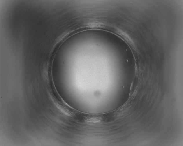 X0000072920155200607211110