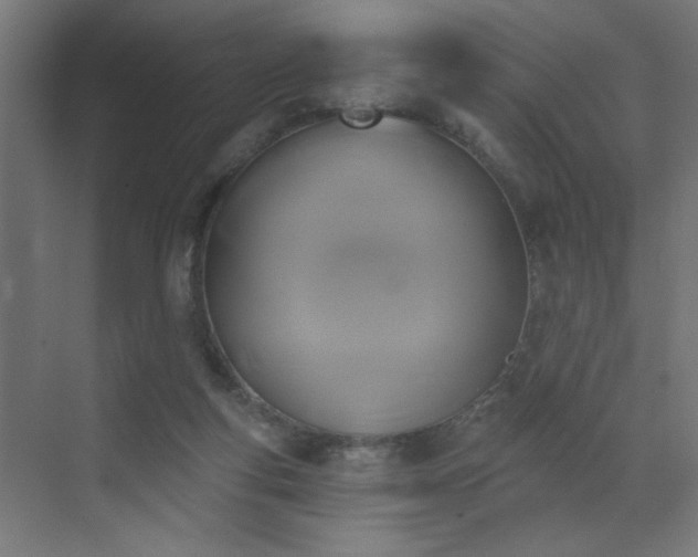 X0000072920163200607211110
