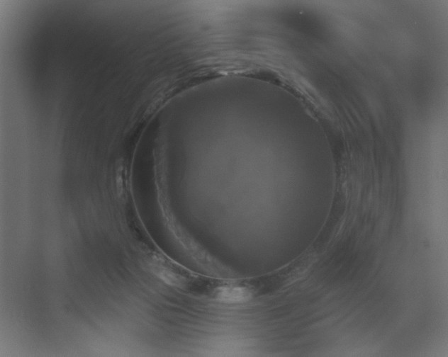X0000072920169200607211110