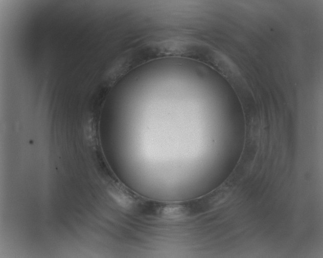 X0000072920173200607211110