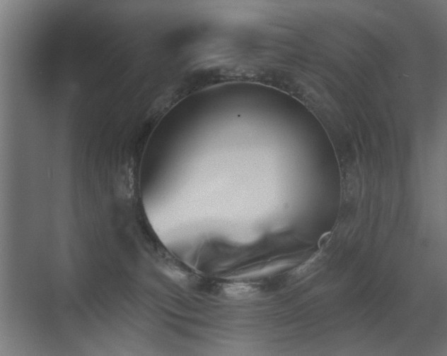 X0000072920183200607211110