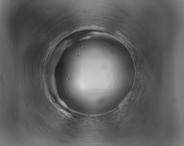 X0000072920193200607211110