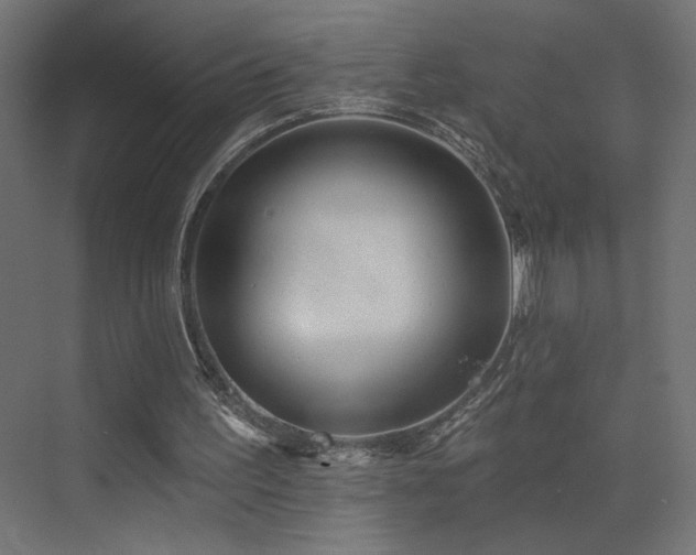 X0000072920195200607211110