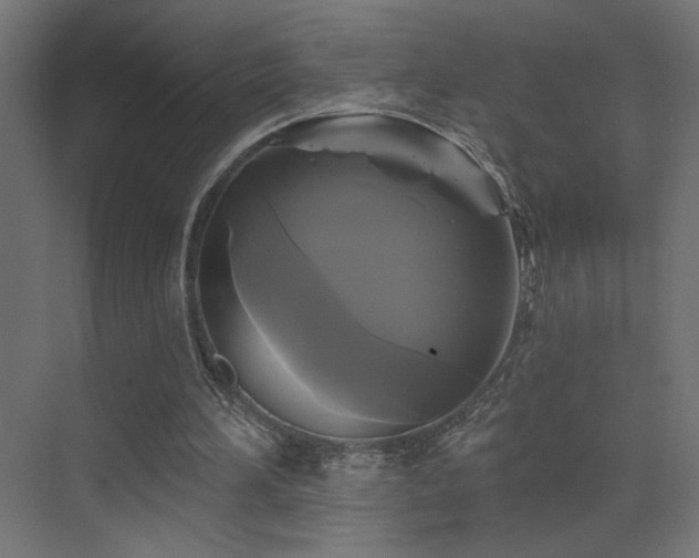 X0000072920196200607211110