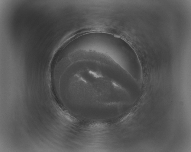 X0000072920198200607211110
