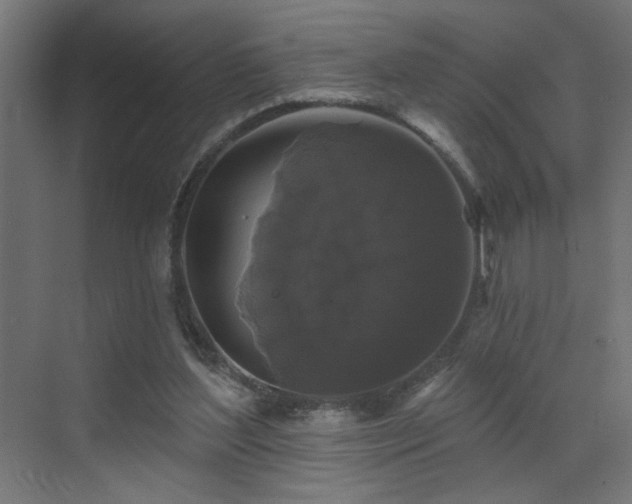 X0000072920204200607211110
