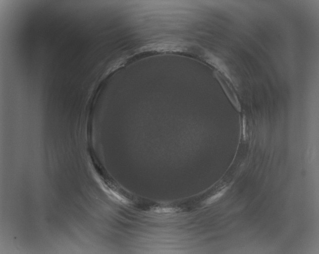 X0000072920205200607211110