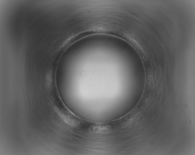 X0000072920208200607211110