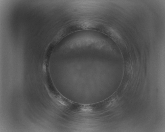 X0000072920214200607211109