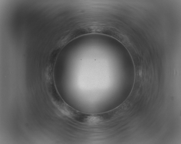 X0000072920218200607211109
