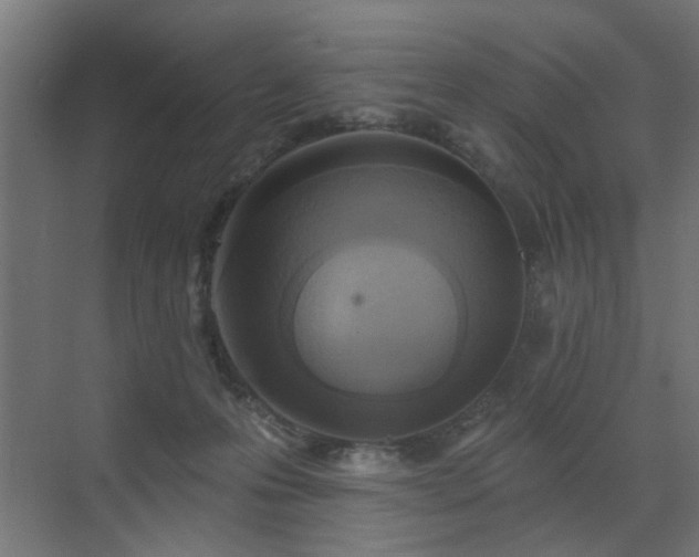 X0000072920223200607211109