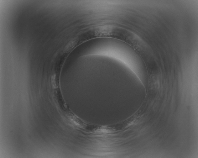X0000072920224200607211109