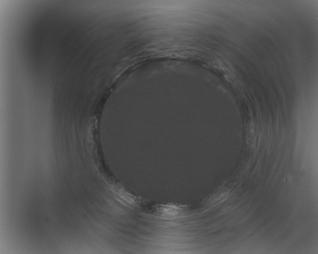 X0000072920229200607211109