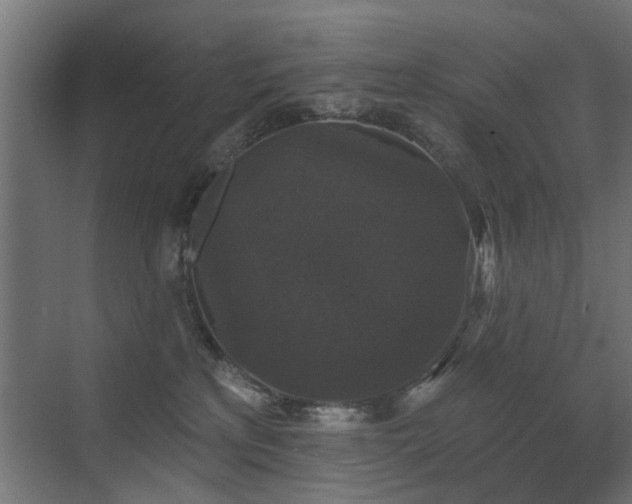 X0000072920233200607211109