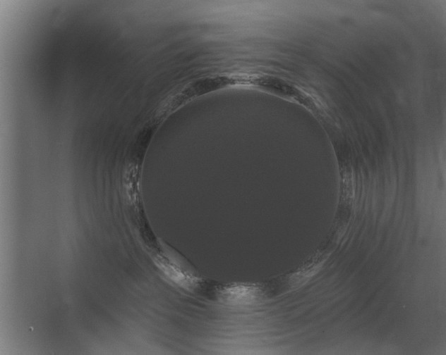 X0000072920237200607211109