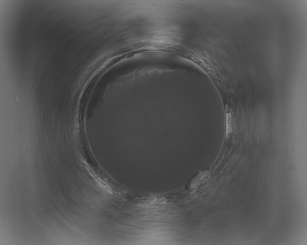 X0000072920243200607211108